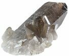 Smoky Quartz Crystal Cluster - Brazil #41993-2